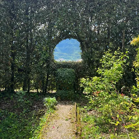 Serena * Coreglia Antelminelli